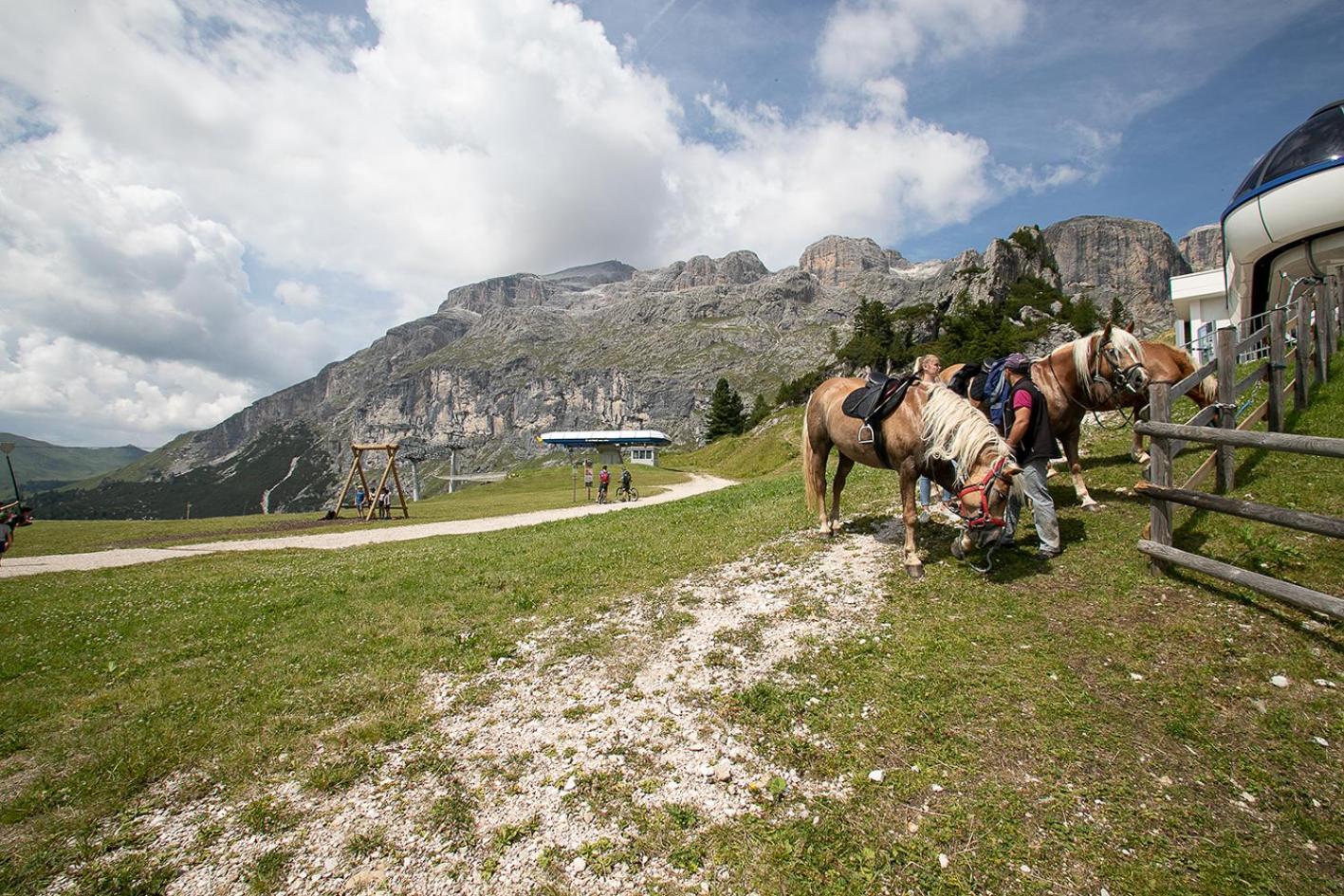 Alpenrose Hotel 3*
