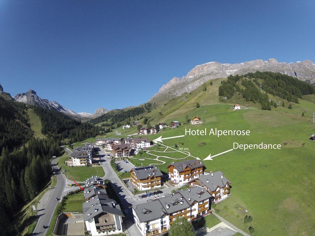 Alpenrose Arabba